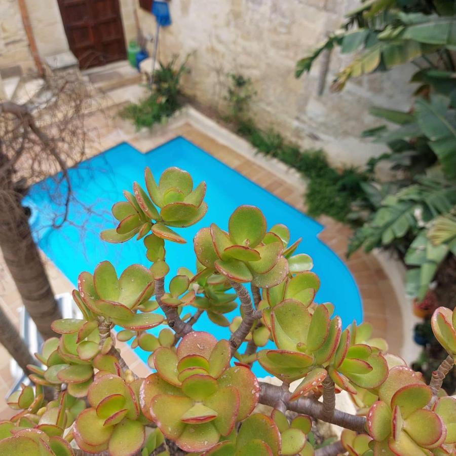 Haven Farmhouse B&B Gharb  Bagian luar foto